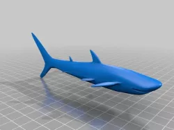 shark