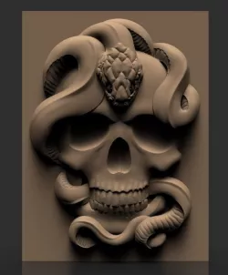 Skull and snake 3d stl models for artcam and aspire Programmes 3D model