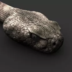 Snake 3D model