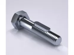 Special Screw 895