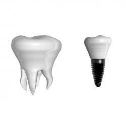 speak your mind notify me of followup comments houston implant ...