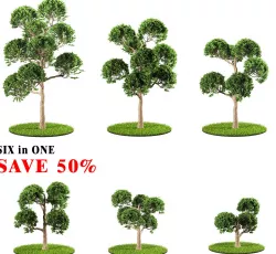tree 119 Six in One 3D model
