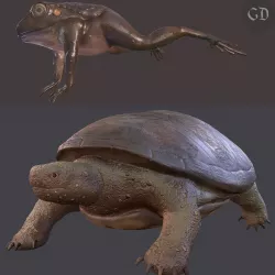 Turtle and Frog Pack 3D Model Collection