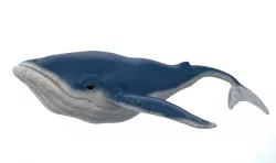 Whale Cartoon 3D model