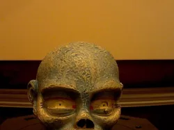 Zombie Head