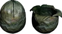 Alien egg Free 3D model