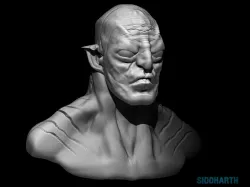 alzog bust Free 3D model