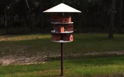 Birdhouse Free 3D model