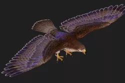 cartoon Eagle 3D model