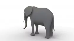 Cartoon Elephant - Rigged Low-poly  3D model