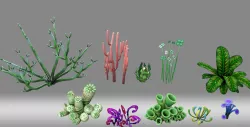 cartoon sea plant 3D model