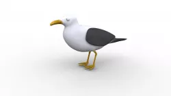 Cartoon Seagull - Rigged Low-poly  3D model