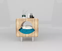 cat house  3D model