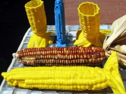 Ear of Corn Container
