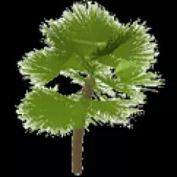 Fan palm tree Free 3D model