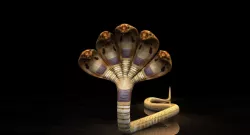 five head snake rigged model 3D model
