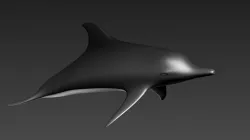 Flipper Free 3D model