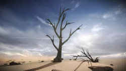 FREE 3 Dead Trees Sample Models Free low-poly  3D model