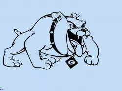 Georgia Bulldogs
