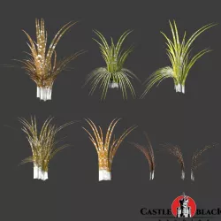 Grass Low-poly  3D model