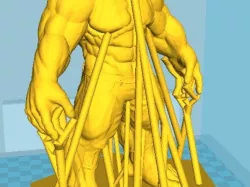 Halk optimizing/