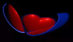 Heart Shell Free 3D model