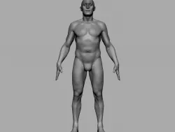 Human Anatomy 3D model