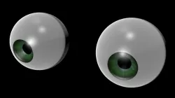 Human Eyes Free 3D model
