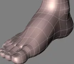 human feet Free 3D model