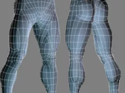 human legs Free 3D model