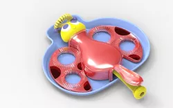 Ladybug bubble blower 3D model