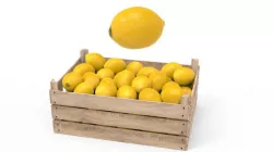 Lemon Box 3D model