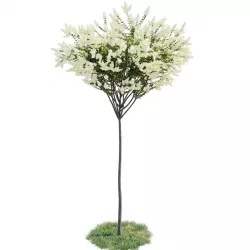 Lilac - Lagerstroemia indica 3 colors 3D model