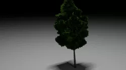 Low Poly Tree Free low-poly  3D model