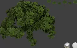 Maple leaf 3D models 3D model