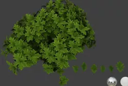 Oak 2 leaf 3D models 3D model
