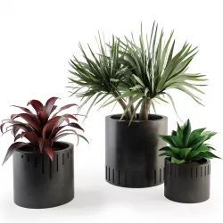 Set plants W01 3D model