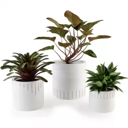Set plants w02 3D model