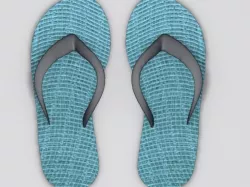 Slippers 3D model