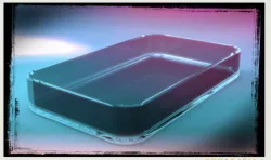 Soap Dish Free 3D model