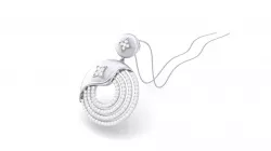 Turkey pendant  3D model