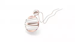 Turkey pendant  3D model