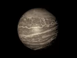 Alien grey planet Free low-poly  3D model