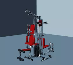 Bodybuilding Free 3D model