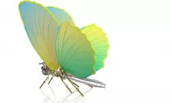 CAD butterfly Free 3D model