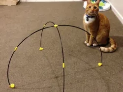 Cat Tent