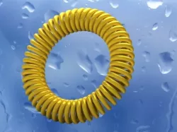 Circular spring Free 3D model