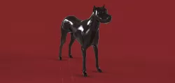 Dog For IVO ALBERTI Free 3D model