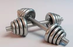dumbbell 3D model