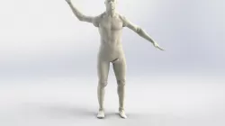 Dummy human male  Free 3D model